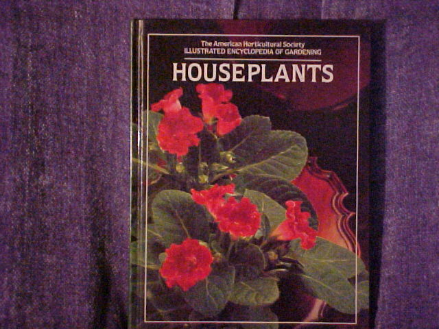 houseplants.jpg